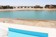 Future real estate for rent in El Gouna Future real estate for rent in El Gouna