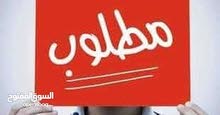 مطلوب دكر فل بدي جراي اوبلاين و انتي فل بدي جراي يلوفيس مطلوب دكر فل بدي جراي اوبلاين و انتي فل بدي جراي يلوفيس