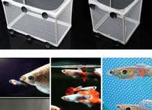 Aquarium Fish Breeding Breeder Tank - (Gauze Isolator) Aquarium Fish Breeding Breeder Tank - (Gauze Isolator)