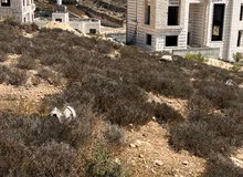 Residential Land for Sale in Hebron Firash AlHawaa