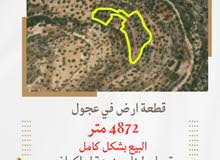 للبيع قطعة ارض في قرية عجول قرب روابي 4872 متر تصلح لبناء مزرعة او للاستثمار العقاري.