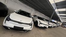 NETA U PRO ELECTRIC 2022