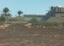 ارض ملك طريق جامع الشوري 250متر للبيع
