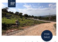 Residential Land for Sale in Amman Badr Jdedeh