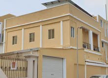 Painting, Gypsum, Epoxy..@ low price (call ) Painting, Gypsum, Epoxy..@ low price (call )