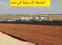مادبا بجانب الجامعة الامريكيةمباشرة قطعة زراعيةمميزة بسعر 18 الف الدونم وبمساحة 3750متر واصل الخدمات