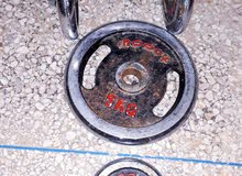 bull musculation bull musculation