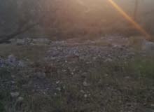 Mixed Use Land for Sale in Hebron Other