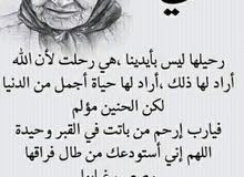 ابحث عن عمل ابحث عن عمل