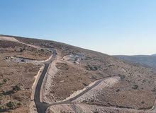 نمرة ارض من اراضي جبع جنين طابو تصنيف A