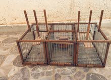 قفص صيد طيور قفص صيد طيور