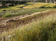 Residential Land for Sale in Amman Naour