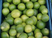 صفرجل دايري صفرجل دايري