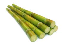 بيع قصب السكر(sugarcane) بيع قصب السكر(sugarcane)