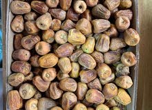 سكري طازج سكري طازج