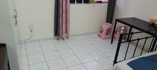 Furnished sharing room for rent in al nud on the immigration road Furnished sharing room for rent in al nud on the immigration road