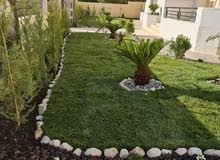 يتوفر جميع أنواع الاشجار  حمضيات لوزيات شجر زينه نسعد بخدمتكم