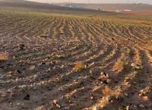 قطعة أرض استثمارية 3600م2 للبيع في قعفور موقع مميز قرب الجمرك وشارع الـ100 ومنطقة الماضونة وشاليهات