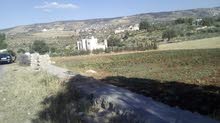 ارض للبيع في الاردن الصبيحي قرية بيوضة الجديدة ارض للبيع في الاردن الصبيحي قرية بيوضة الجديدة