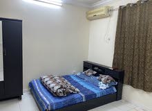 Family Room for rent - 3 Months - Shqbout City