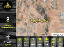 Residential Land for Sale in Amman Al Tuneib