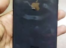 Apple iPhone XR 64 GB in Muscat