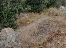 Residential Land for Sale in Jerusalem Abu Dis