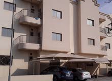 Modern Luxury Flat for Rent Modern Luxury Flat for Rent