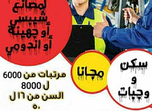 وظايف للشباب وظايف للشباب