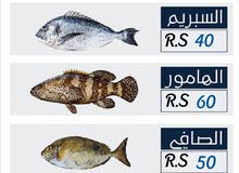 نوفر توصيل جميع انواع ألاسماك البحرينية الى الرياض