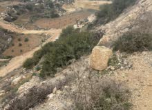 Residential Land for Sale in Hebron Dura