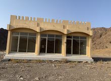 محلات تجاربة محلات تجاربة