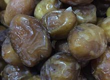 فسائل نخيل بكراري فسائل نخيل بكراري