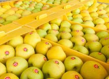جميع مناطق السلطنه جميع مناطق السلطنه