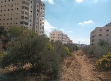 Mixed Use Land for Sale in Hebron Bir AlMahjir