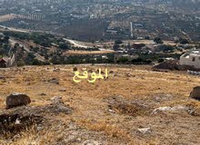 أرض بمساحة 2.257 م2 قرية صروت حوض البلد منطقة مرتفعة وإطلالة مميزة