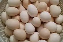 بيض عرب