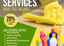 professional cleaning service professional cleaning service