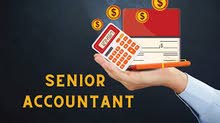 senior accountant