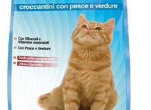 vita day cat dray food vita day cat dray food