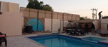 4 Bedrooms Farms for Sale in Jordan Valley Ghor Al Kafrain
