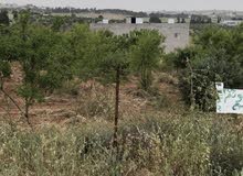 Mixed Use Land for Sale in Irbid Harima