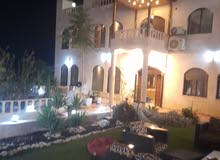 شقه طابق من فيلا  من المالك مباشره يومي