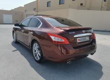 Nissan maxima Nissan maxima