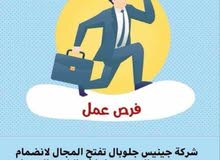 فرصه عمل فرصه عمل فرصه عمل فرصه عمل