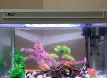 New big aquarium fish tank for sale with LED light and bubbles. New big aquarium fish tank for sale with LED light and bubbles.