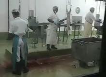 20/kg fresh mutton slaughtered in dubai