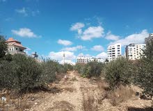 Mixed Use Land for Sale in Hebron Bir AlMahjir
