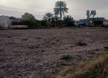 Mixed Use Land for Sale in Baghdad Yusufiyah