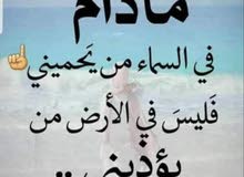 شب عمرى 23 ابحث عن عمل شب عمرى 23 ابحث عن عمل